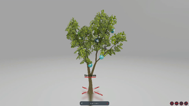 Sample 3D Viewer mit with annotation – Techem “Culture Tree”